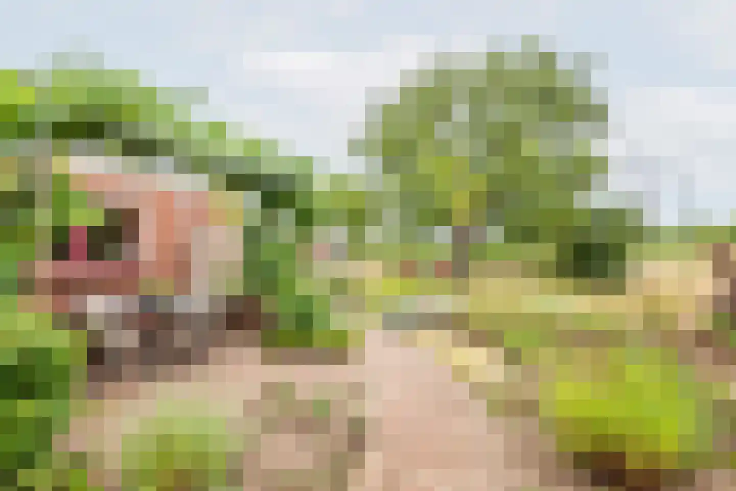 Lage Heurnseweg 8 De Heurne thumbnail 40