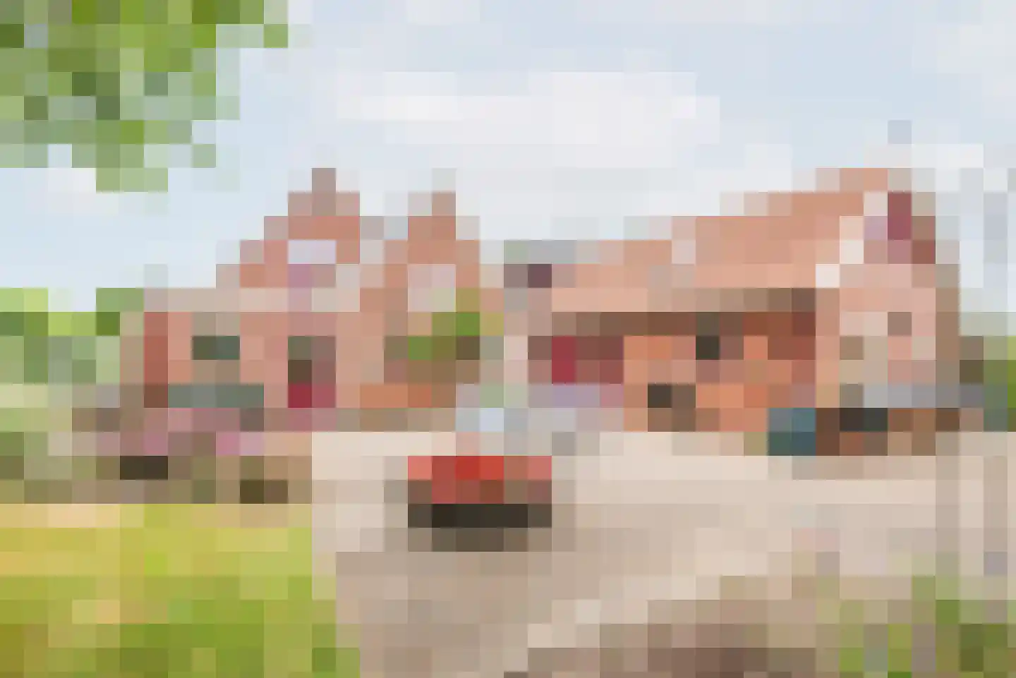Lage Heurnseweg 8 De Heurne thumbnail 46