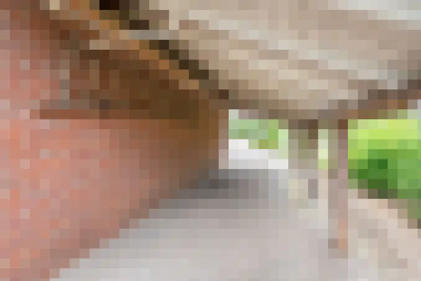 Lage Heurnseweg 8 De Heurne thumbnail 47