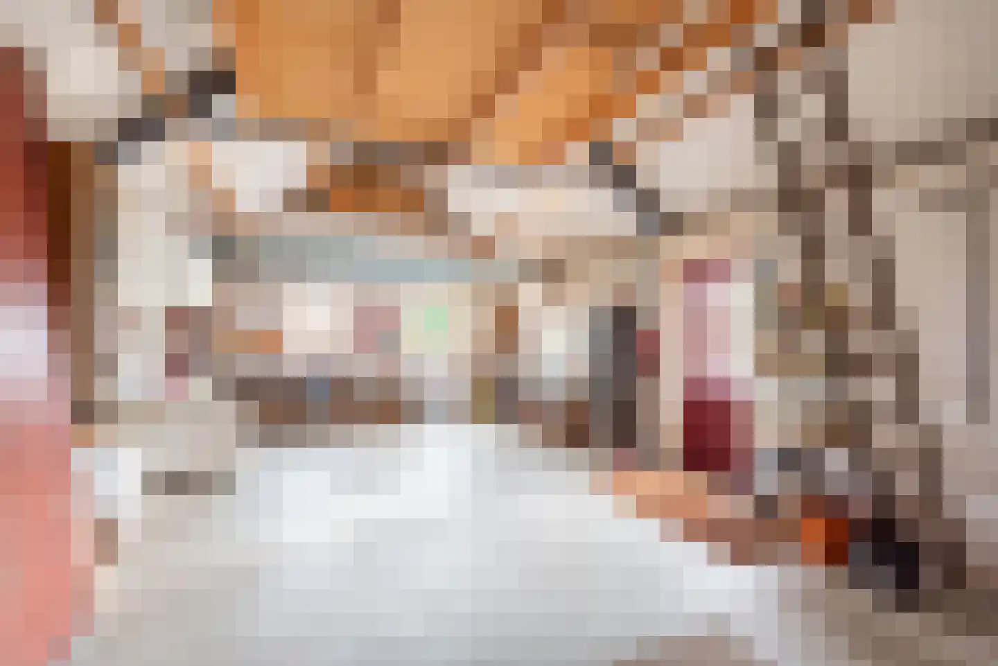 Lage Heurnseweg 8 De Heurne thumbnail 49