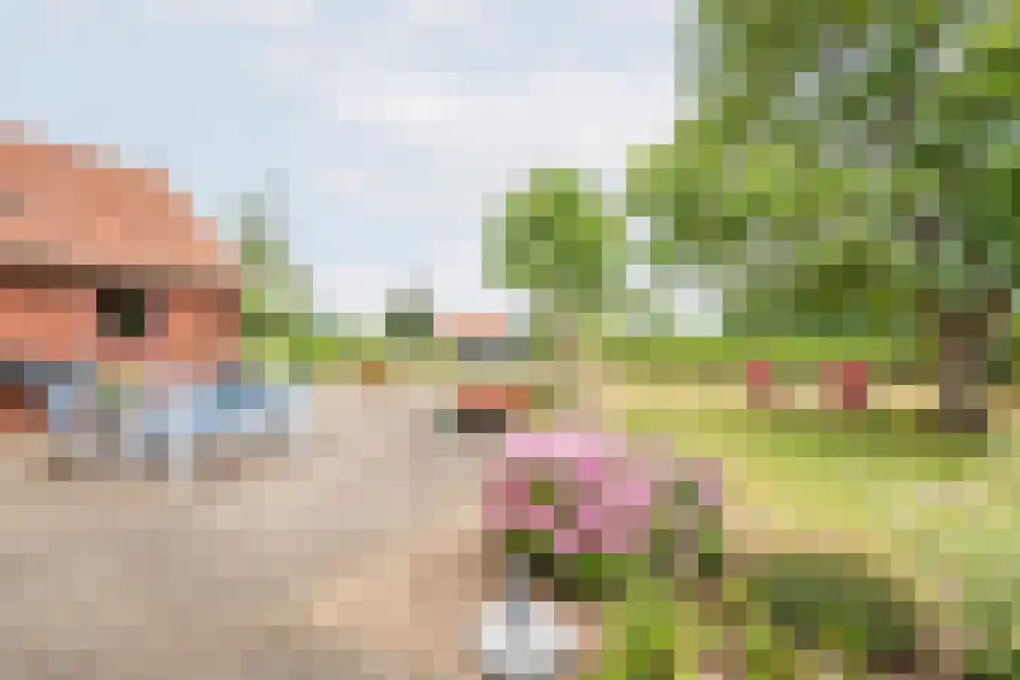 Lage Heurnseweg 8 De Heurne thumbnail 5