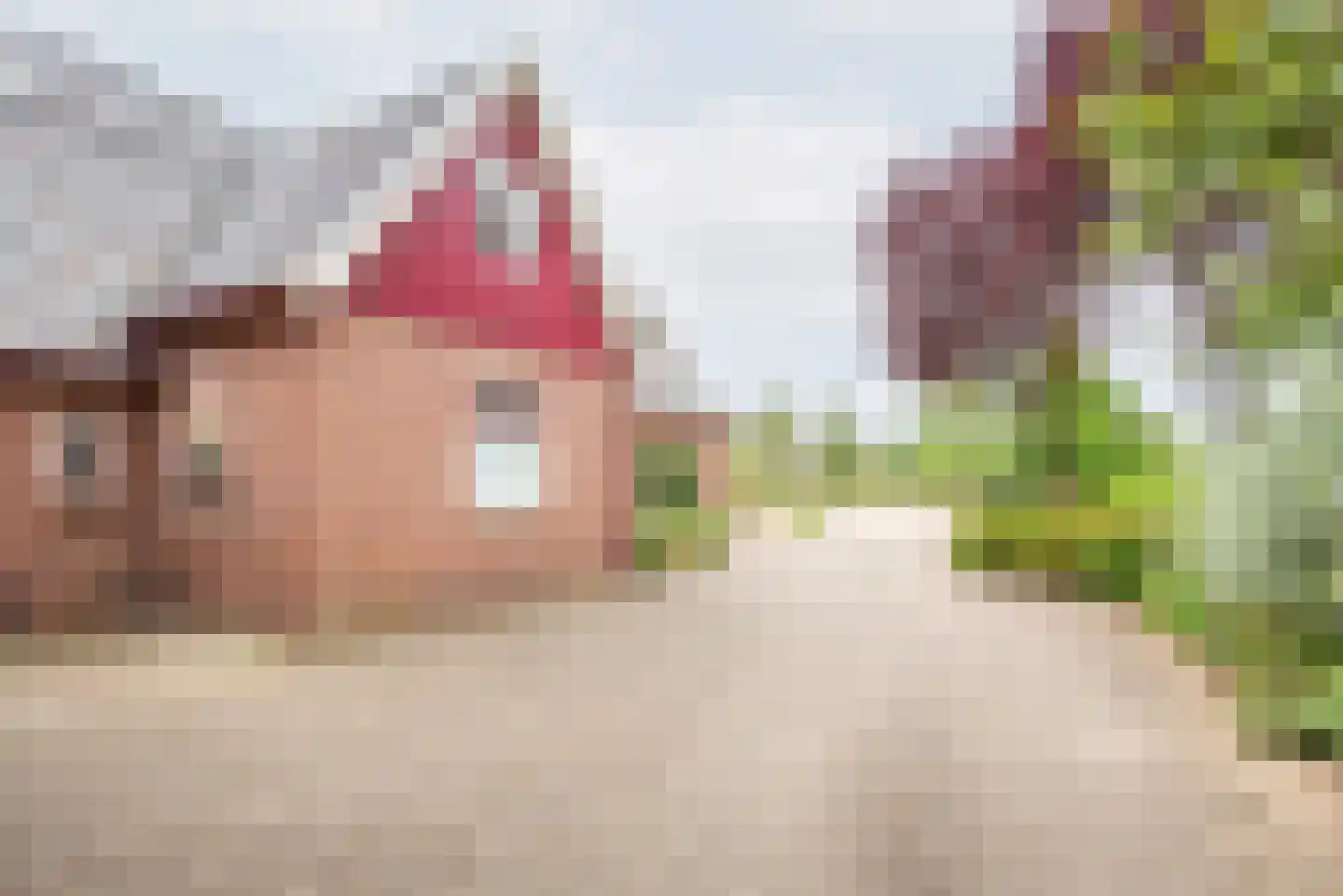 Lage Heurnseweg 8 De Heurne thumbnail 50