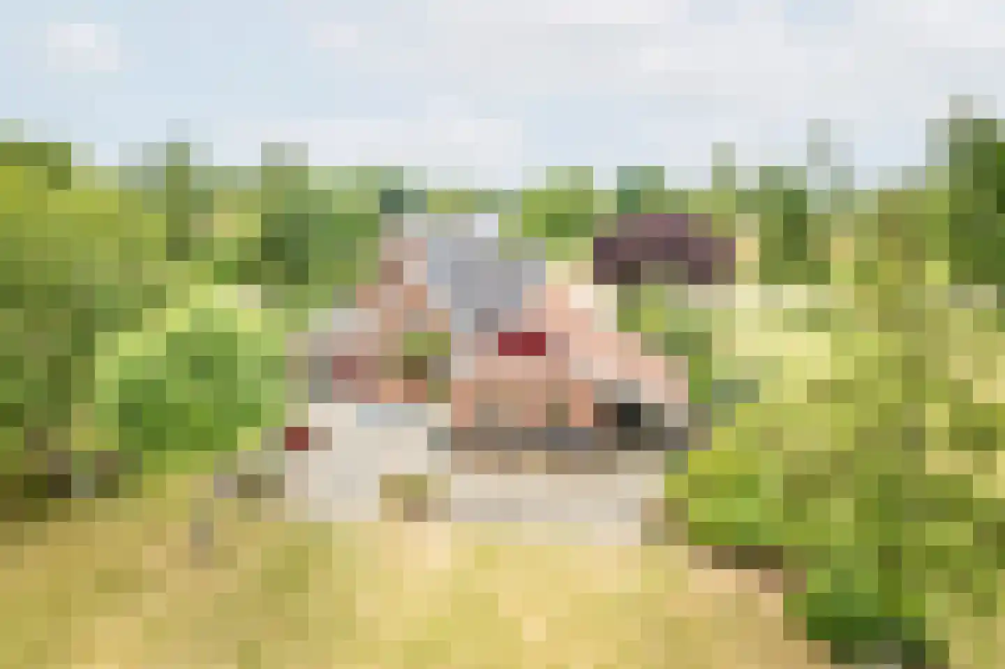 Lage Heurnseweg 8 De Heurne thumbnail 54