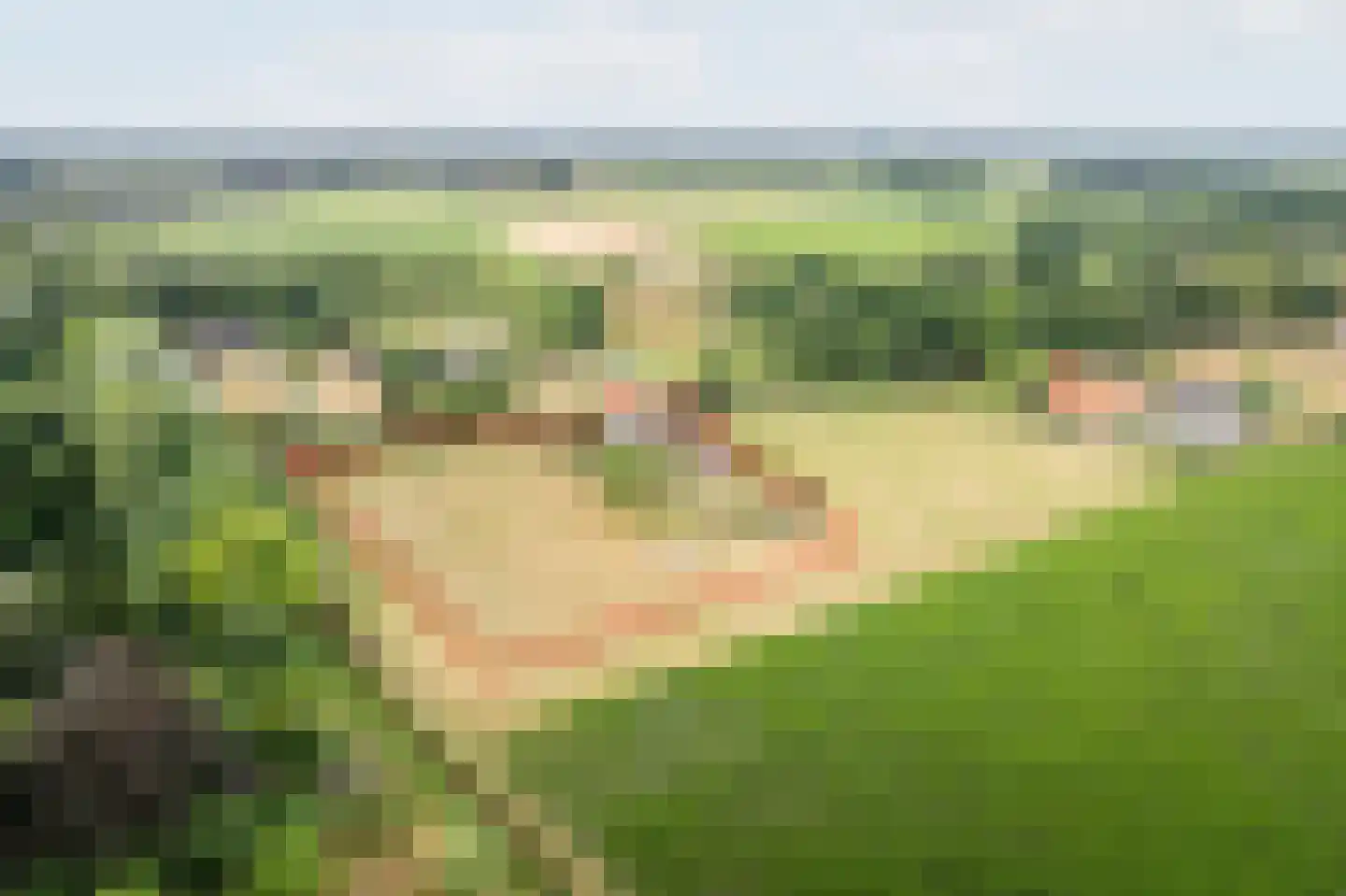 Lage Heurnseweg 8 De Heurne thumbnail 57