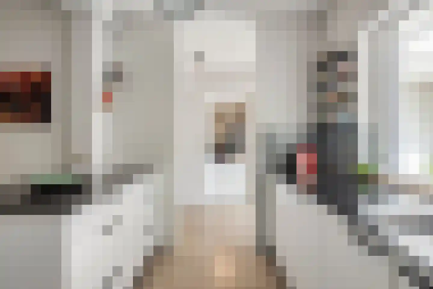 Lage Hoef 3 Herpt thumbnail 13