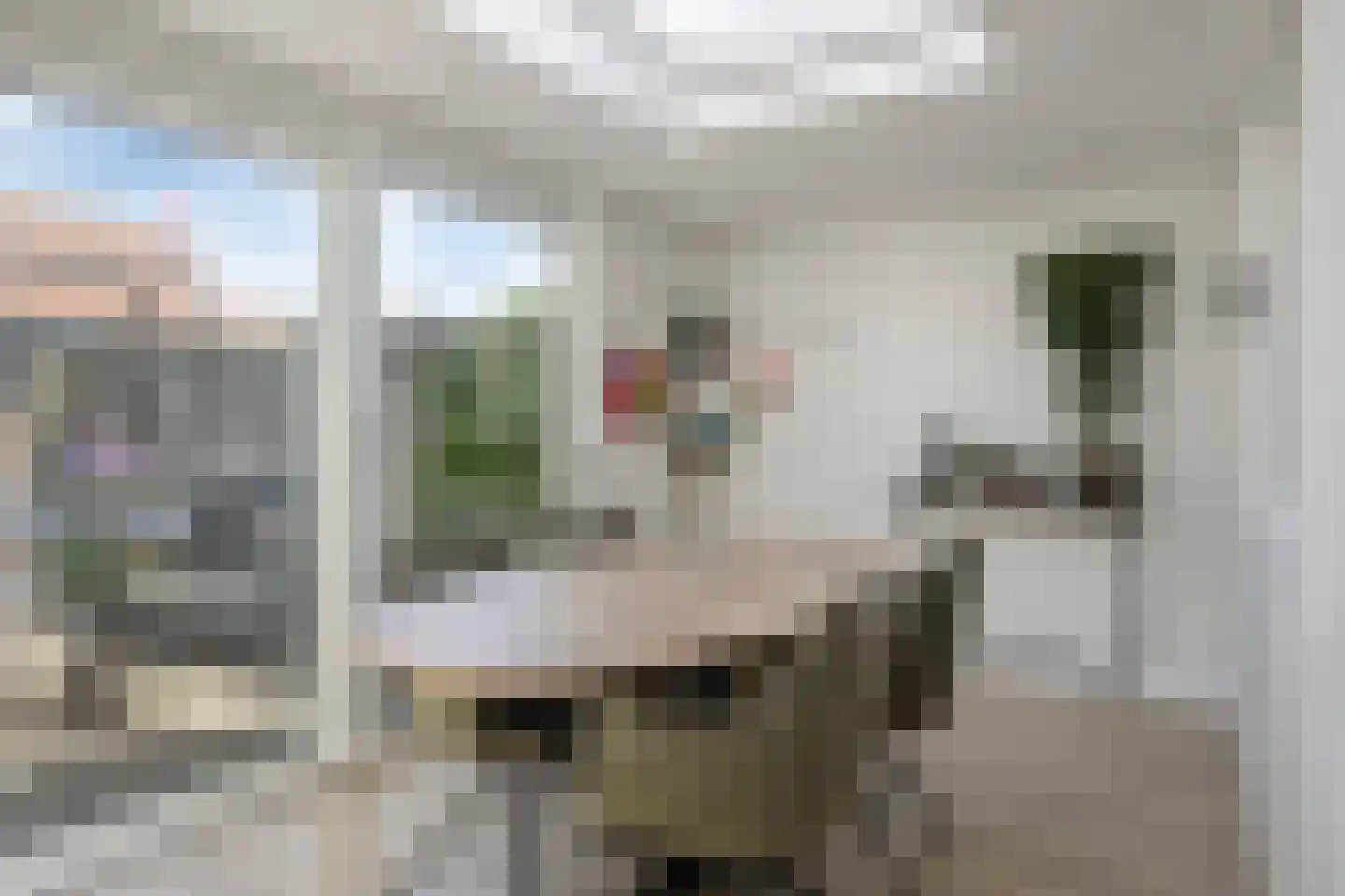 Lage Hoef 3 Herpt thumbnail 16