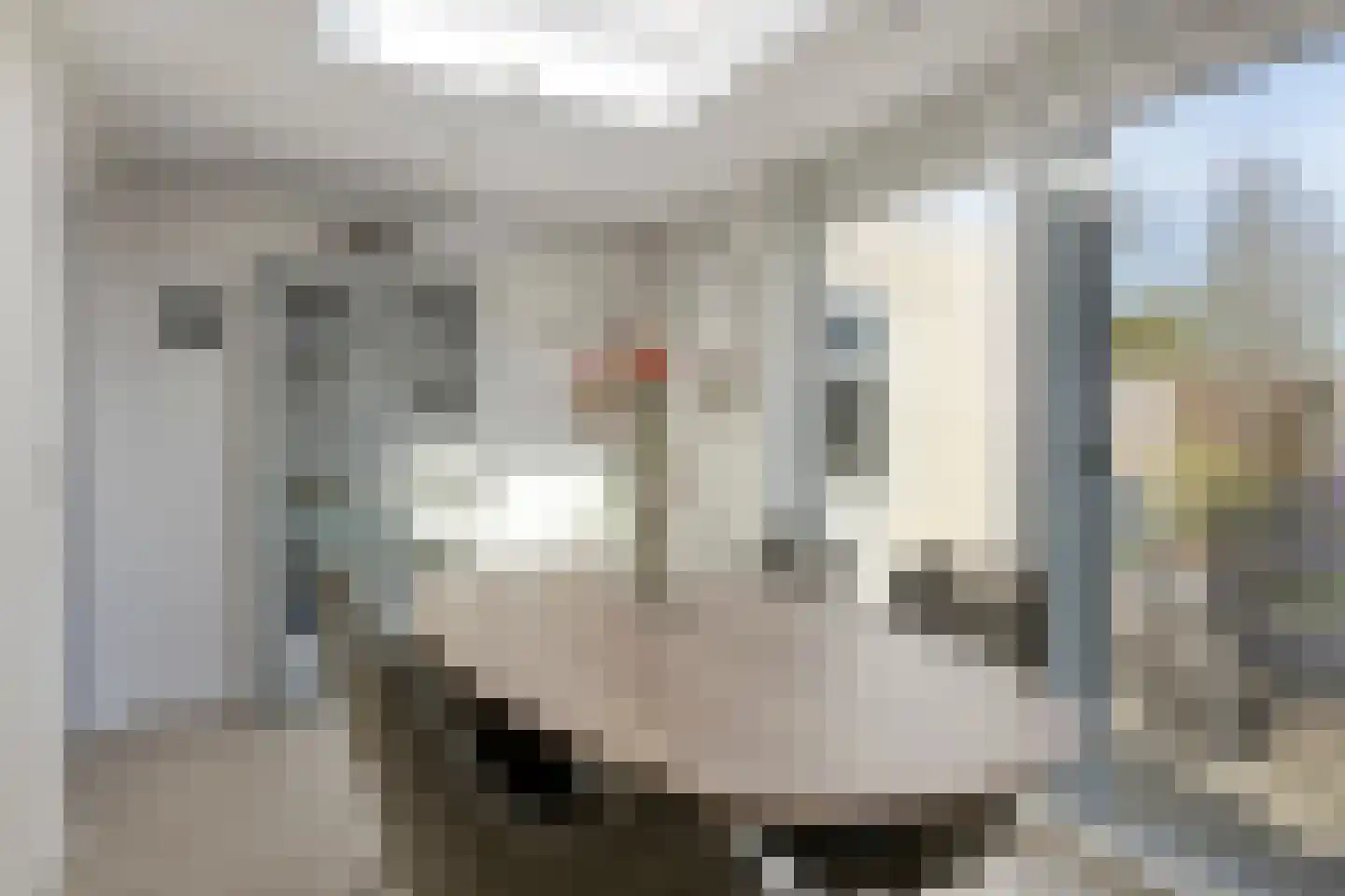 Lage Hoef 3 Herpt thumbnail 17