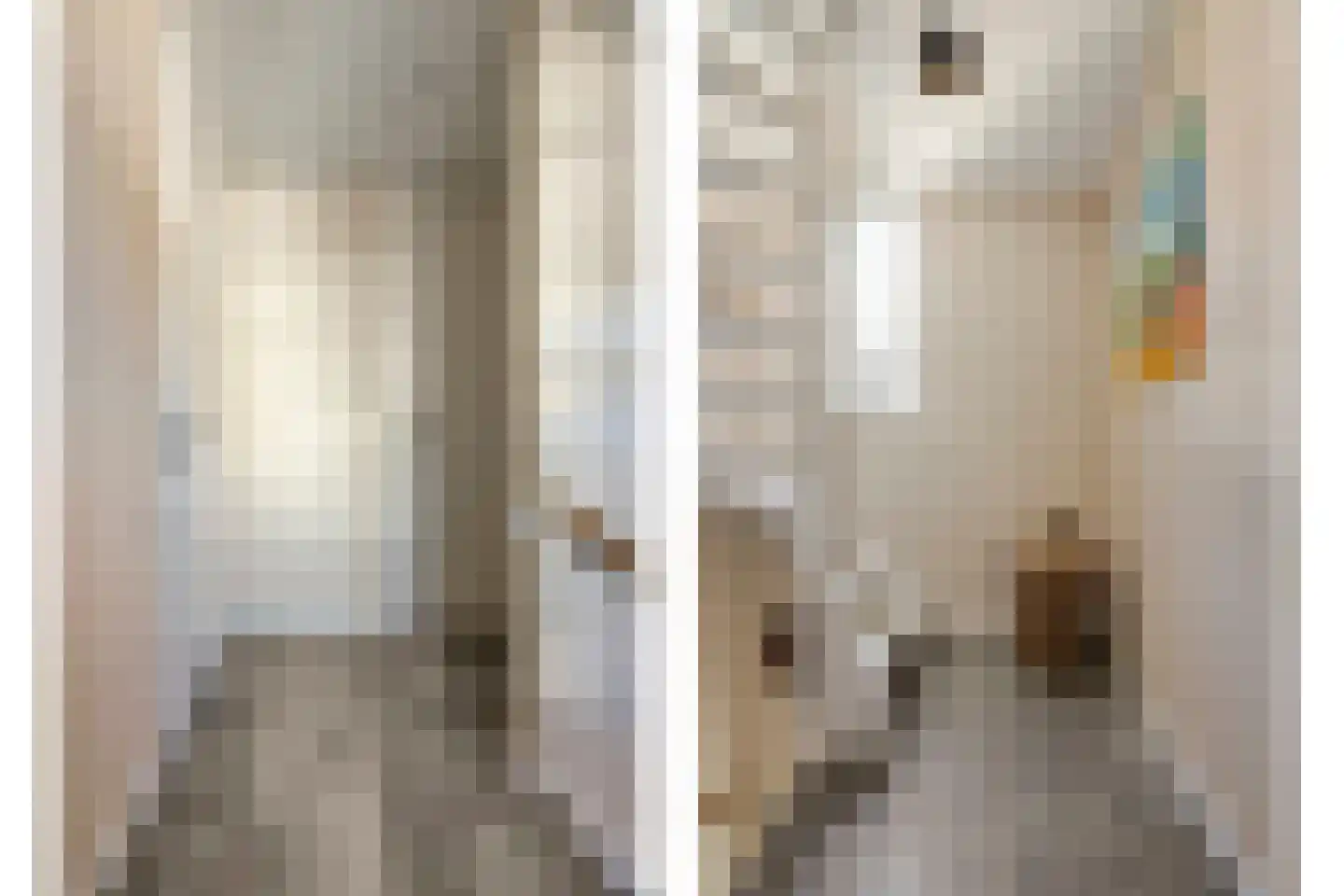 Lage Hoef 3 Herpt thumbnail 18