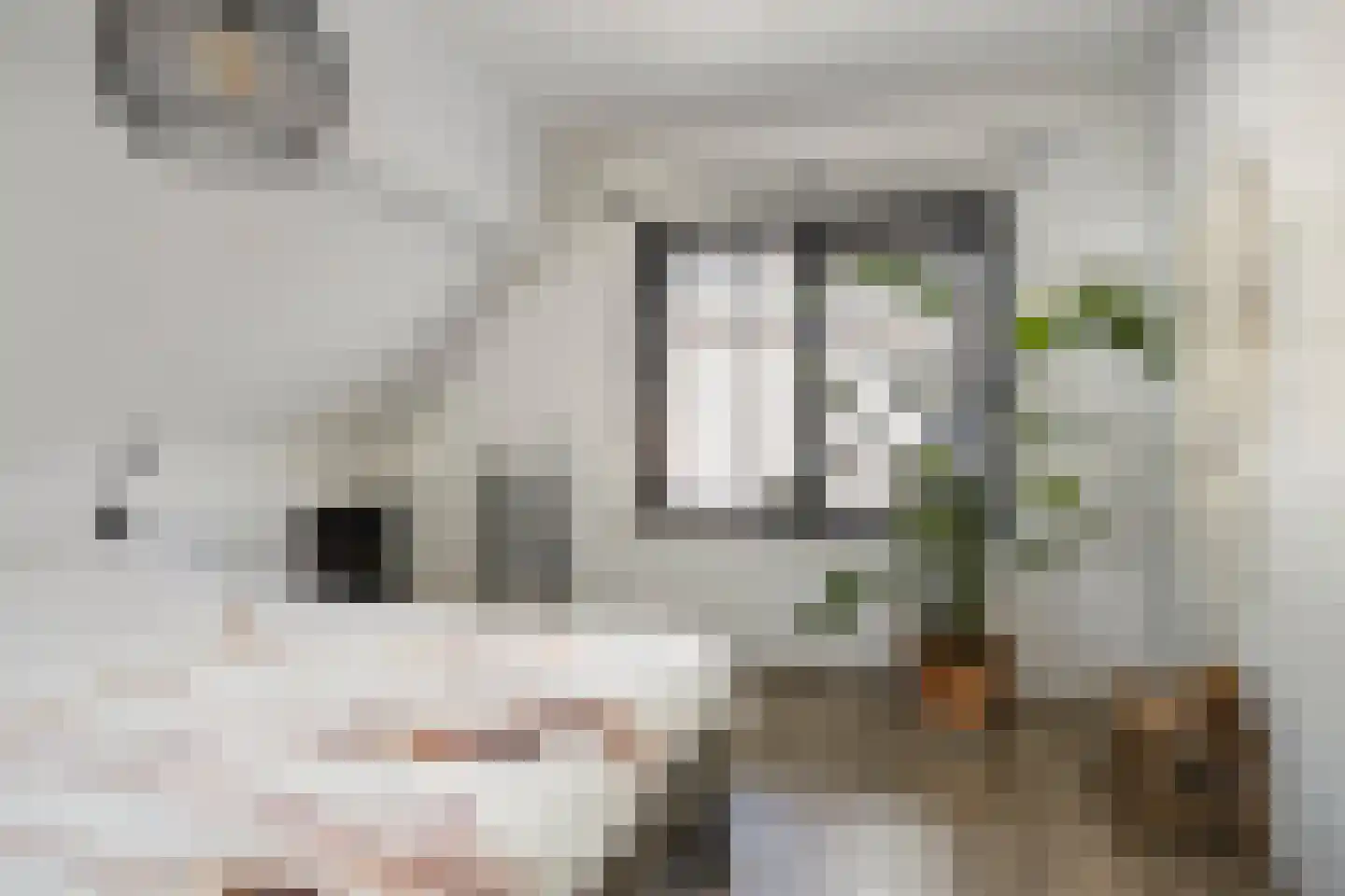 Lage Hoef 3 Herpt thumbnail 19