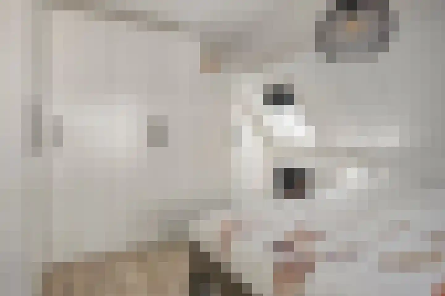 Lage Hoef 3 Herpt thumbnail 20
