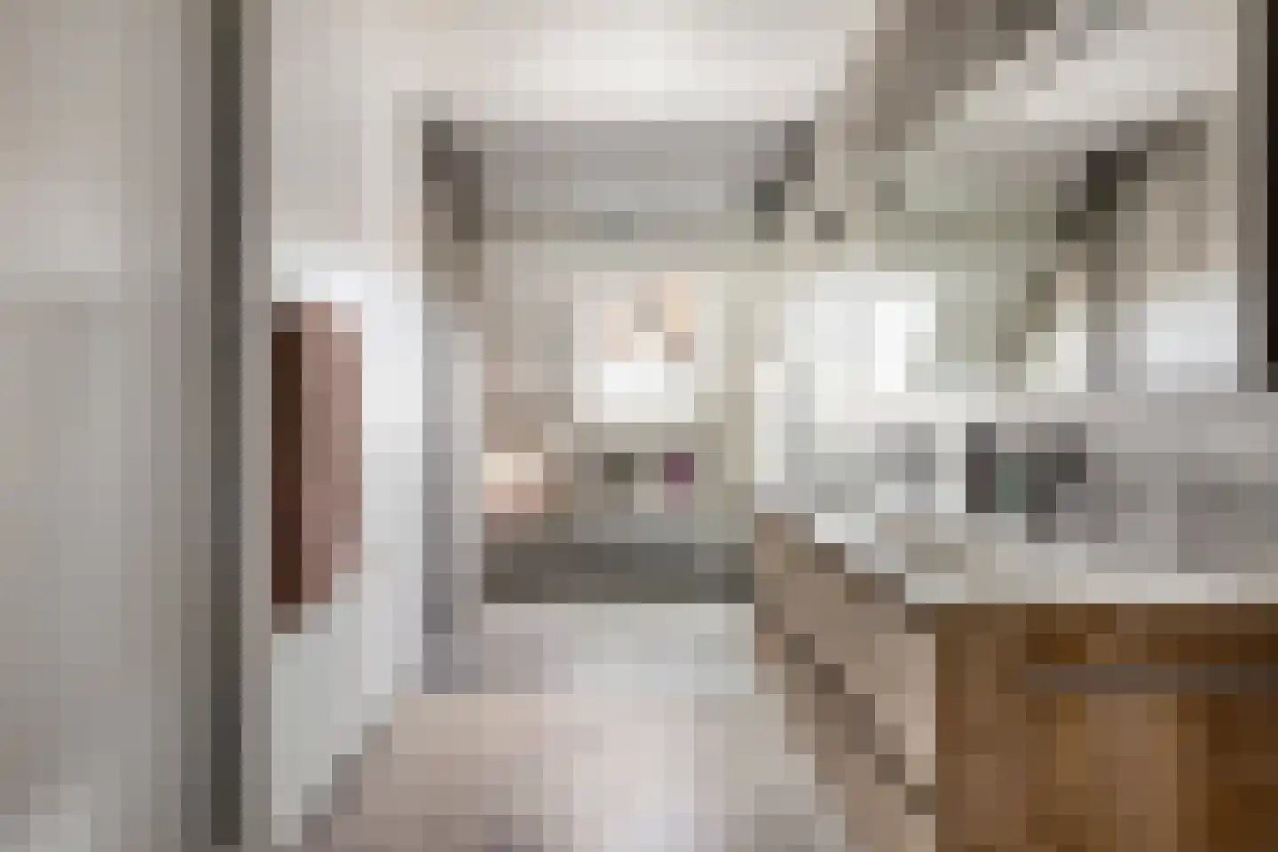 Lage Hoef 3 Herpt thumbnail 22