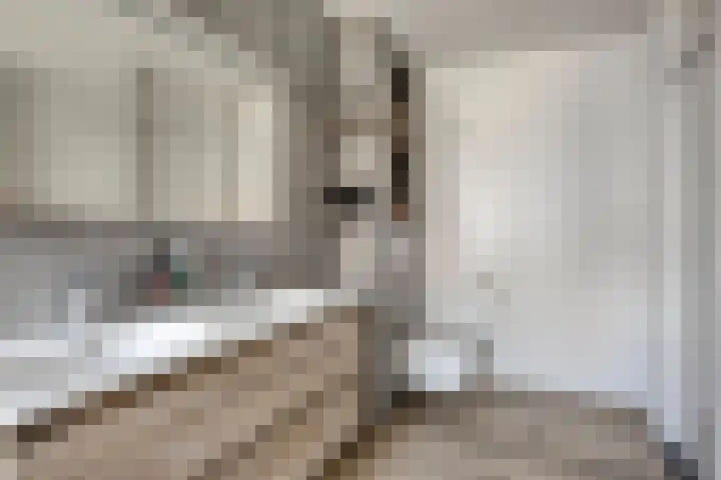 Lage Hoef 3 Herpt thumbnail 23