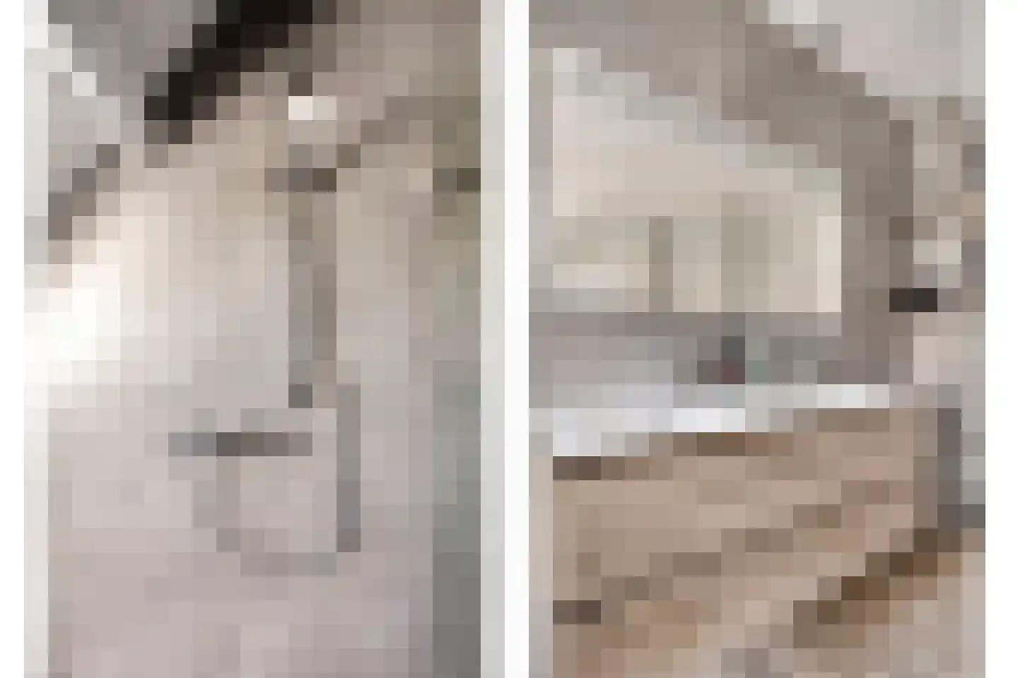 Lage Hoef 3 Herpt thumbnail 24