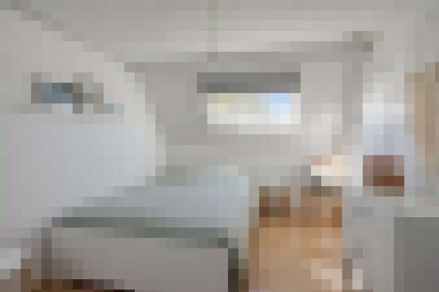 Lage Hoef 3 Herpt thumbnail 27