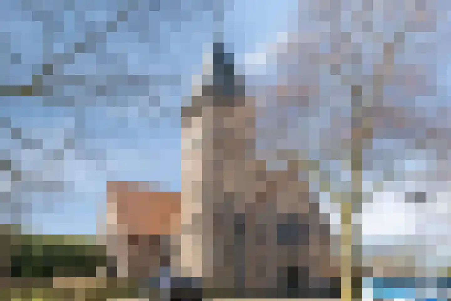 Lage Hoef 3 Herpt thumbnail 36