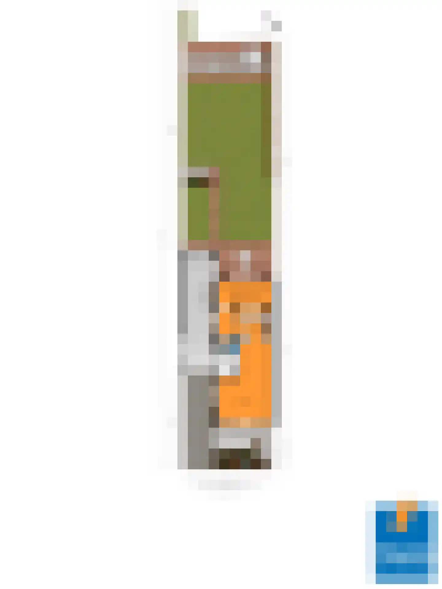 Lage Hoef 3 Herpt thumbnail 38