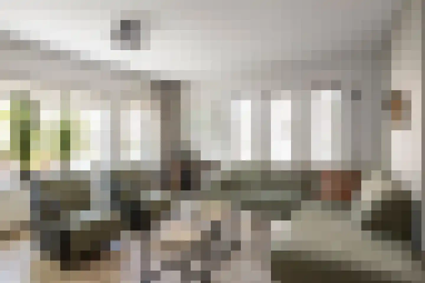 Lage Hoef 3 Herpt thumbnail 6