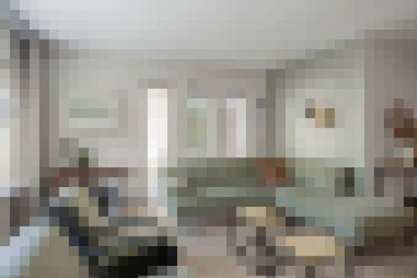Lage Hoef 3 Herpt thumbnail 7