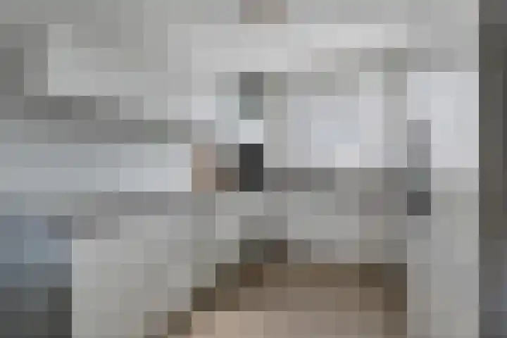 Lage Hoek 109 Zwaag thumbnail 13