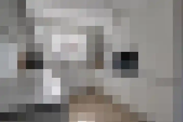 Lage Hoek 109 Zwaag thumbnail 14