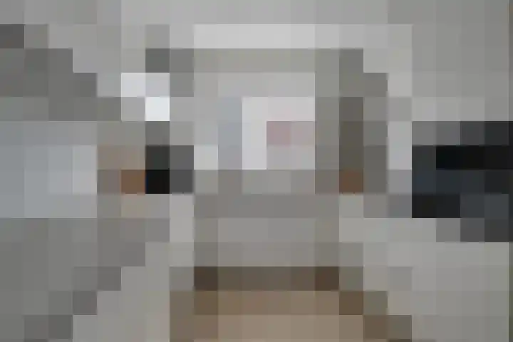 Lage Hoek 109 Zwaag thumbnail 15