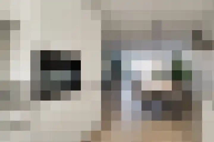Lage Hoek 109 Zwaag thumbnail 16