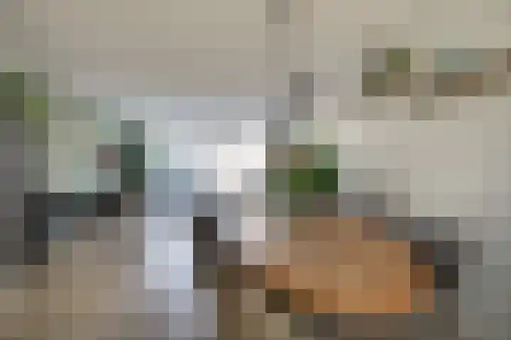 Lage Hoek 109 Zwaag thumbnail 17