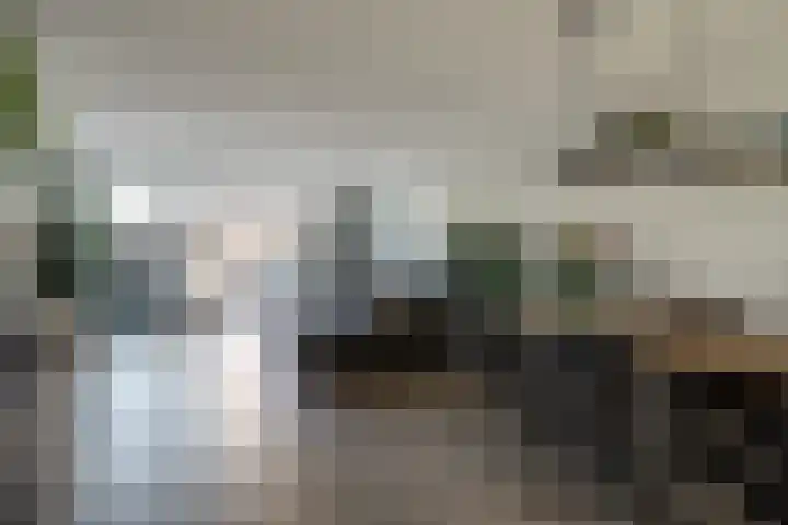 Lage Hoek 109 Zwaag thumbnail 18