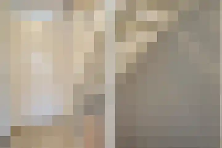 Lage Hoek 109 Zwaag thumbnail 22