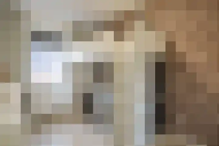 Lage Hoek 109 Zwaag thumbnail 26