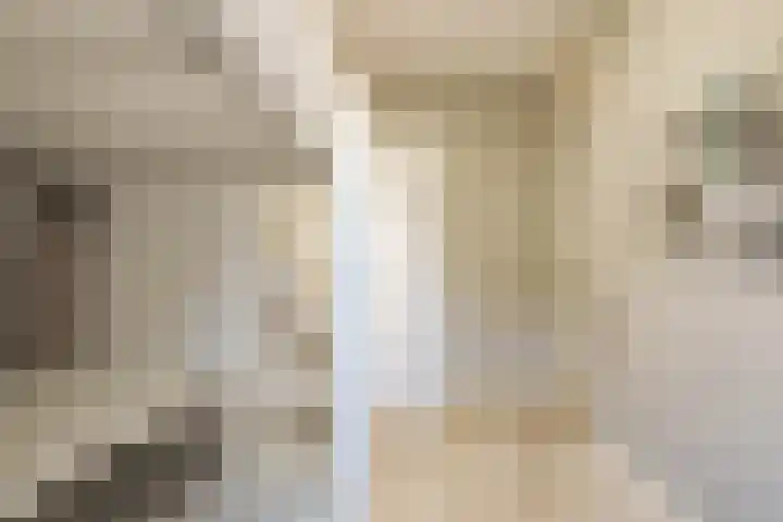 Lage Hoek 109 Zwaag thumbnail 28