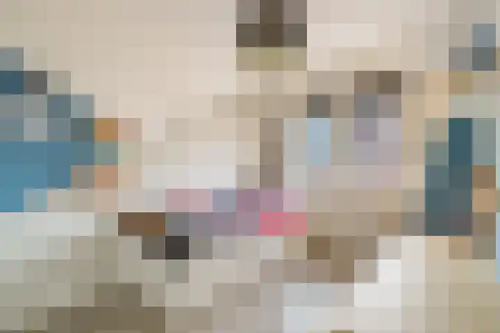 Lage Hoek 109 Zwaag thumbnail 29