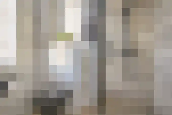 Lage Hoek 109 Zwaag thumbnail 32