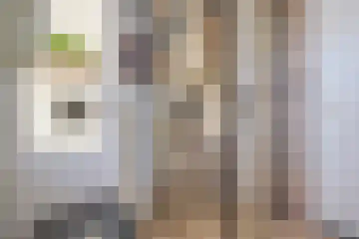 Lage Hoek 109 Zwaag thumbnail 33
