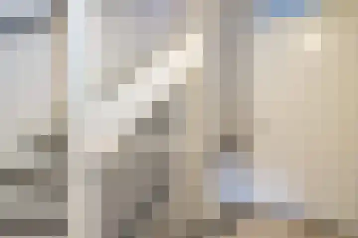 Lage Hoek 109 Zwaag thumbnail 35