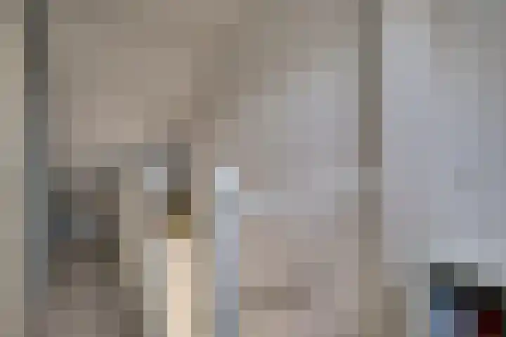 Lage Hoek 109 Zwaag thumbnail 36