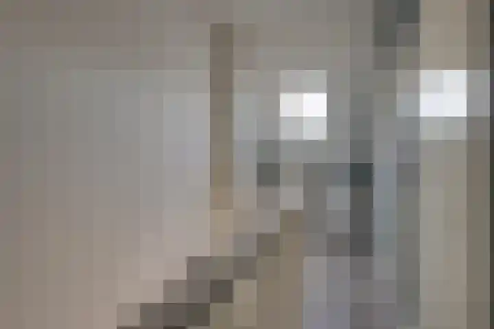 Lage Hoek 109 Zwaag thumbnail 37