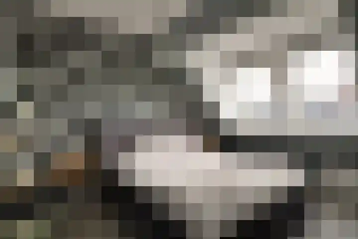 Lage Hoek 109 Zwaag thumbnail 39