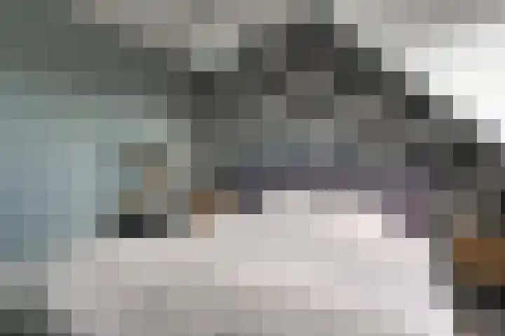 Lage Hoek 109 Zwaag thumbnail 40