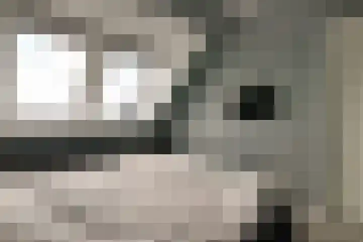 Lage Hoek 109 Zwaag thumbnail 41
