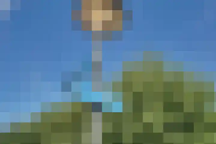 Lage Hoek 109 Zwaag thumbnail 45