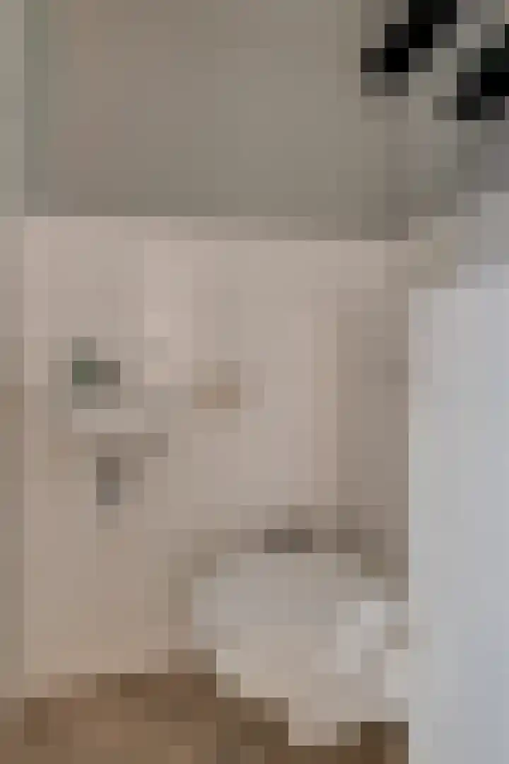 Lage Hoek 109 Zwaag thumbnail 7