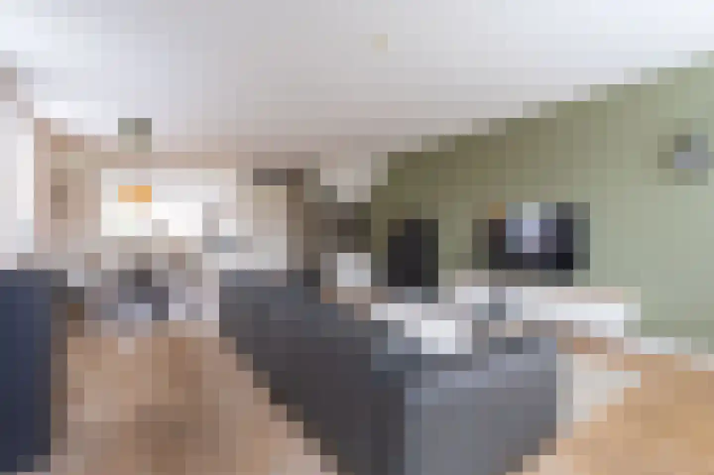 Lage Hoek 117 Zwaag thumbnail 11