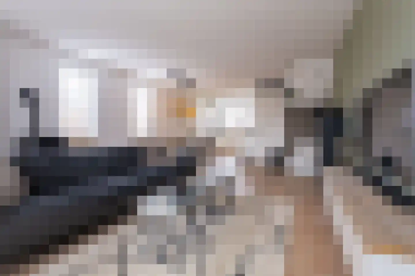 Lage Hoek 117 Zwaag thumbnail 12