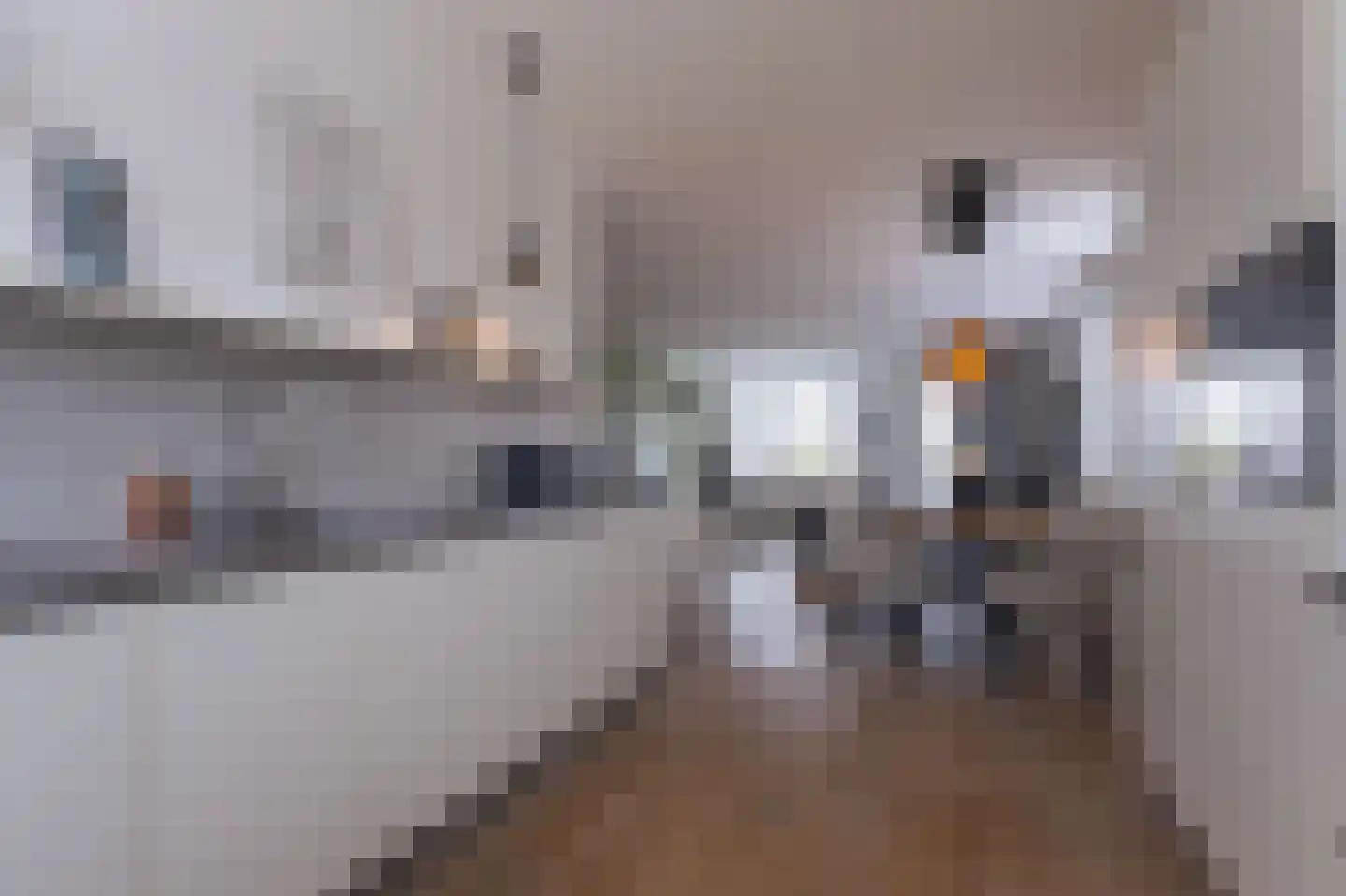 Lage Hoek 117 Zwaag thumbnail 14