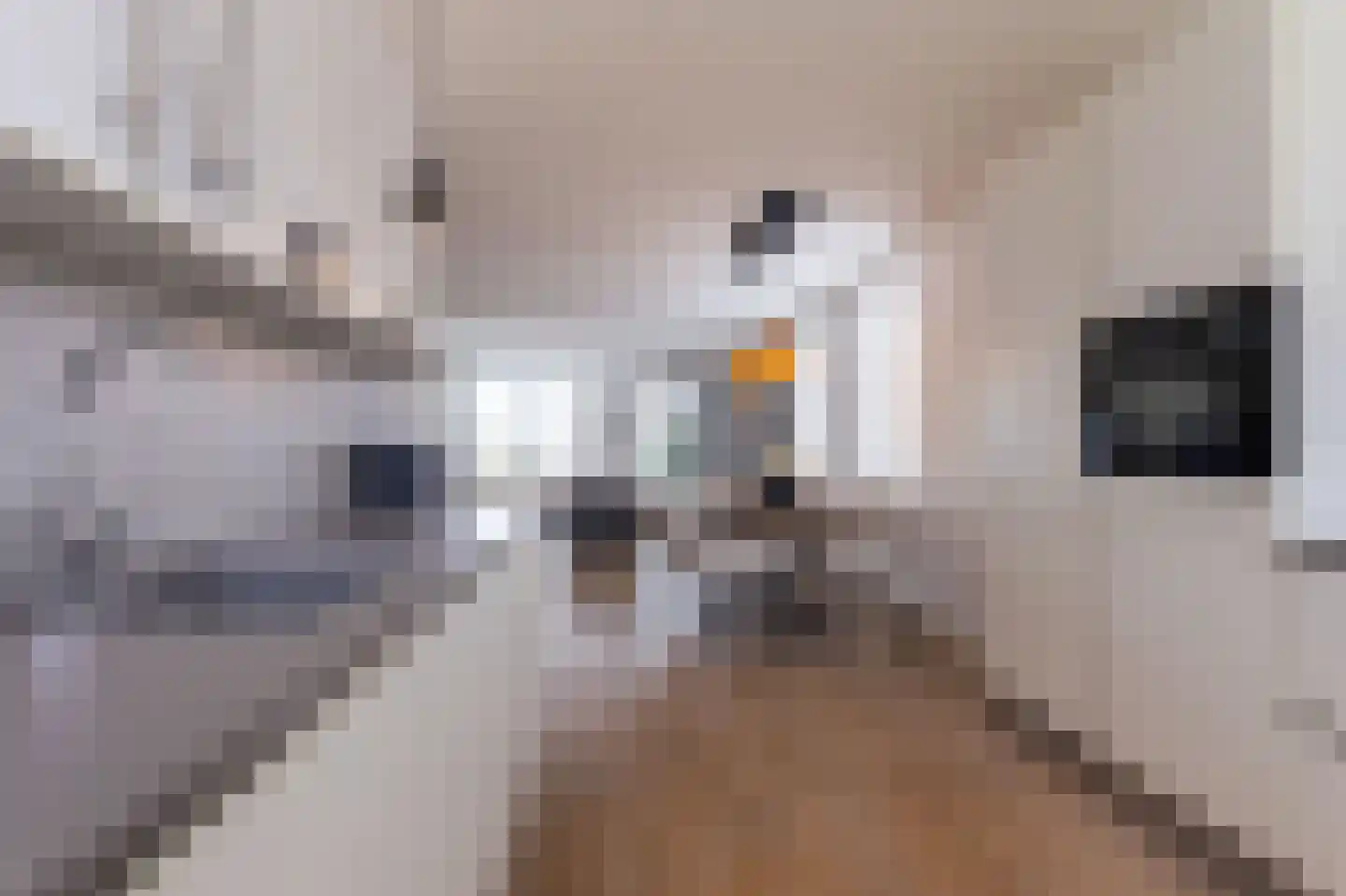 Lage Hoek 117 Zwaag thumbnail 16