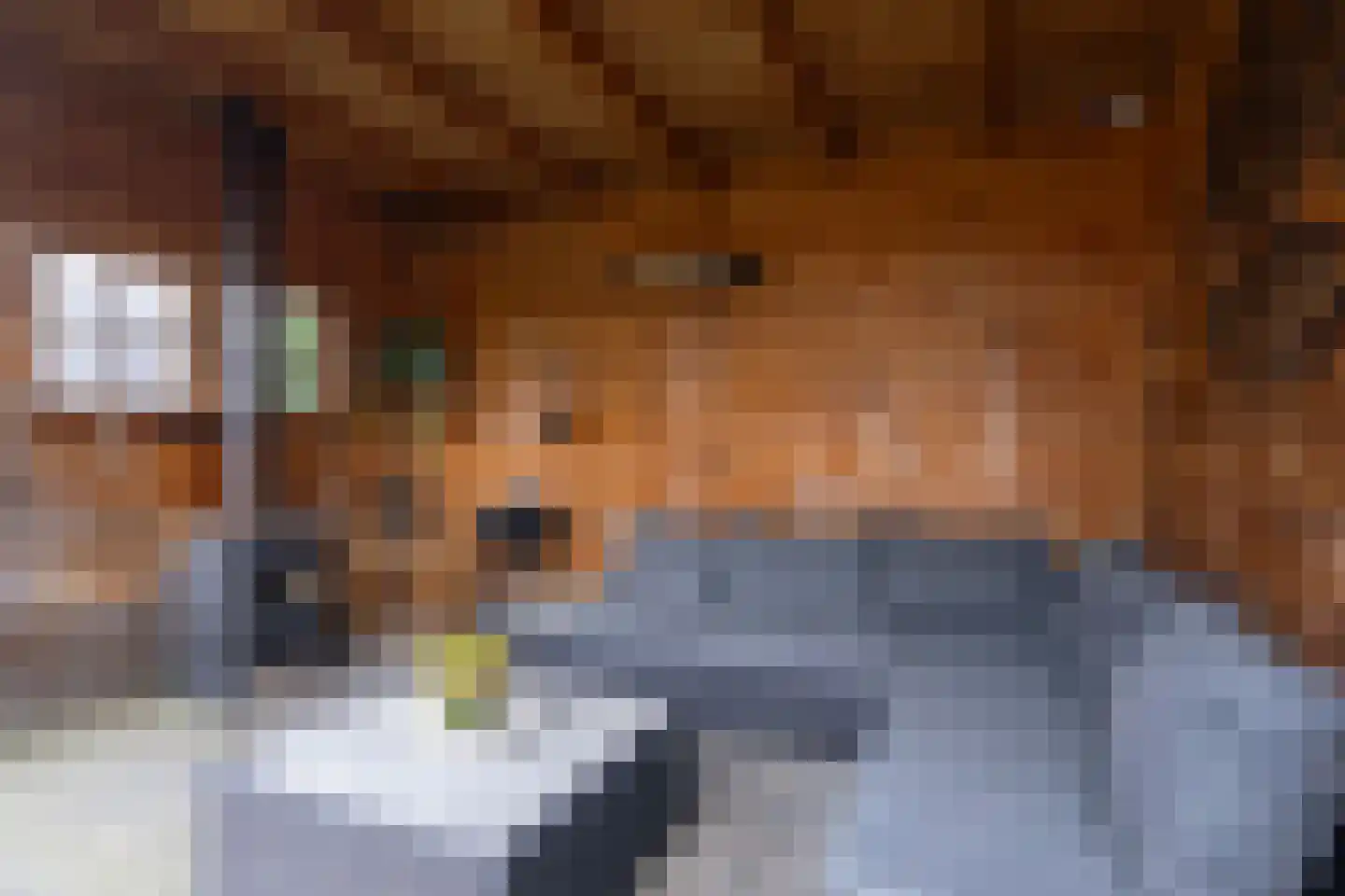 Lage Hoek 117 Zwaag thumbnail 20