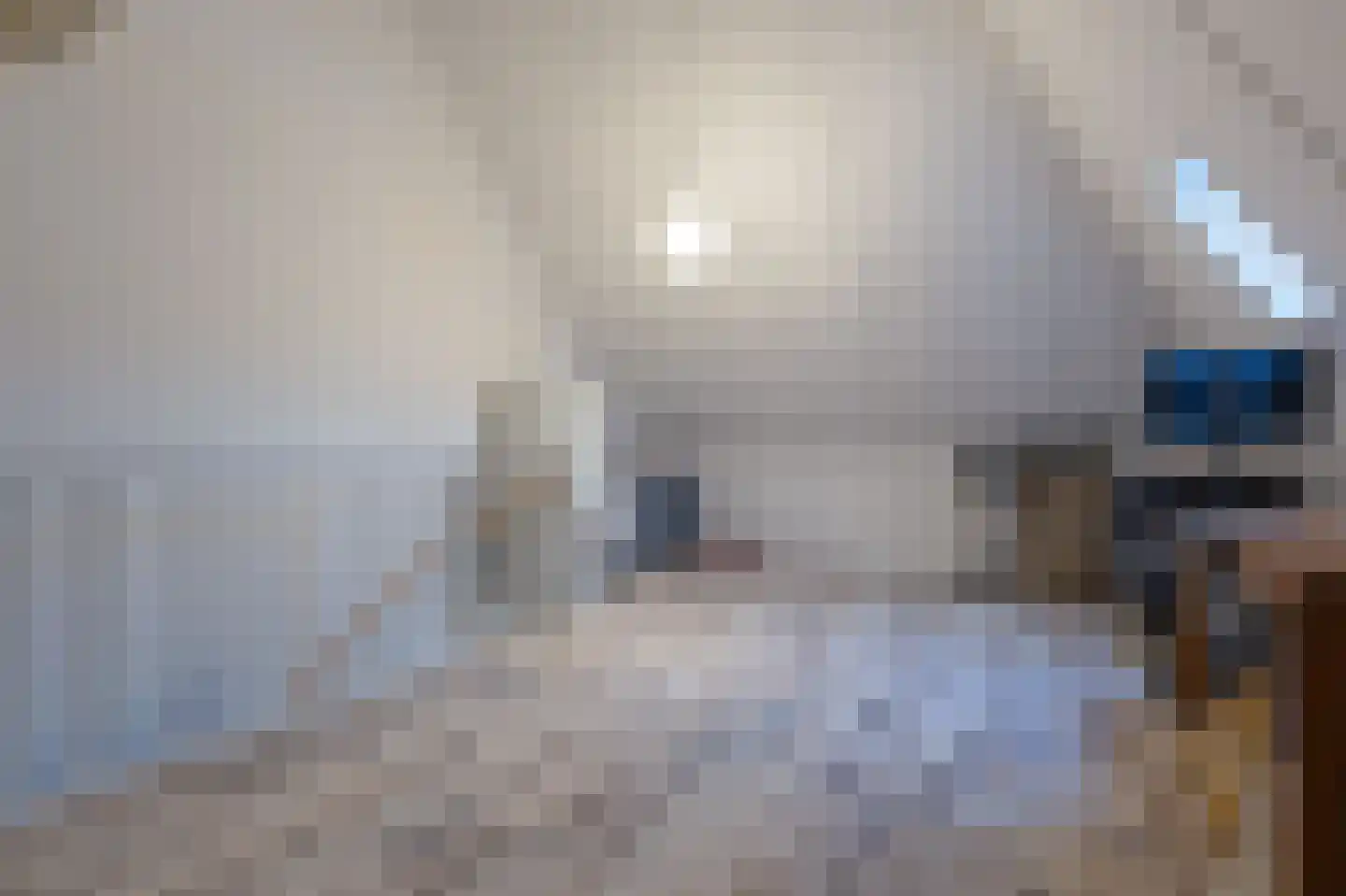 Lage Hoek 117 Zwaag thumbnail 33