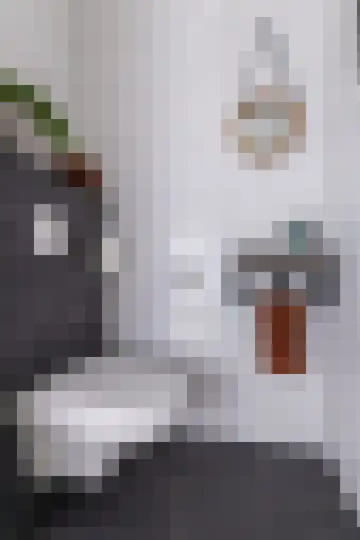 Lage Hoek 119 Zwaag thumbnail 10