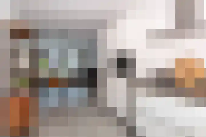 Lage Hoek 119 Zwaag thumbnail 17